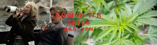 мет Бородино