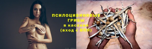 PSILOCYBIN Бронницы