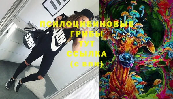 PSILOCYBIN Бронницы
